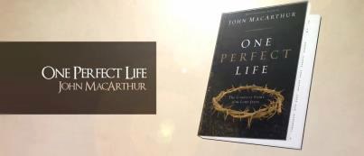 One Perfect Life