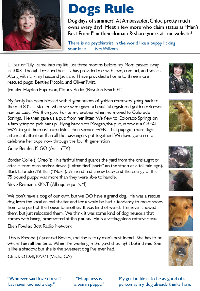 Dogs rule