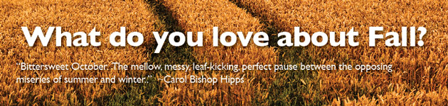 What do you love about Fall?