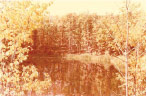 Fall Day