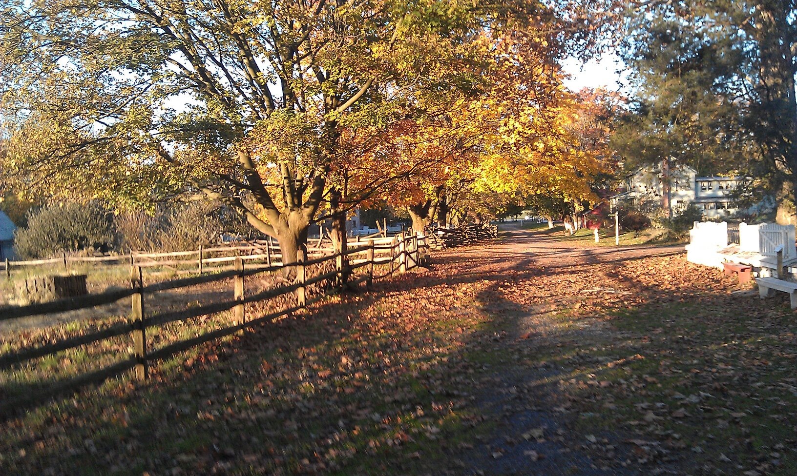 Autumn is here!